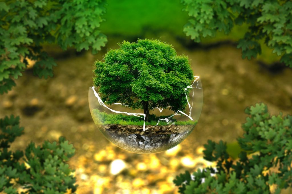 environmental-protection-services